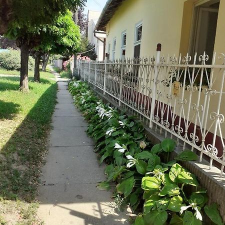 Marika Vendeghaz Daire Abádszalók Dış mekan fotoğraf
