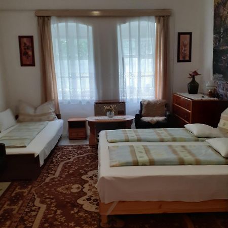 Marika Vendeghaz Daire Abádszalók Dış mekan fotoğraf