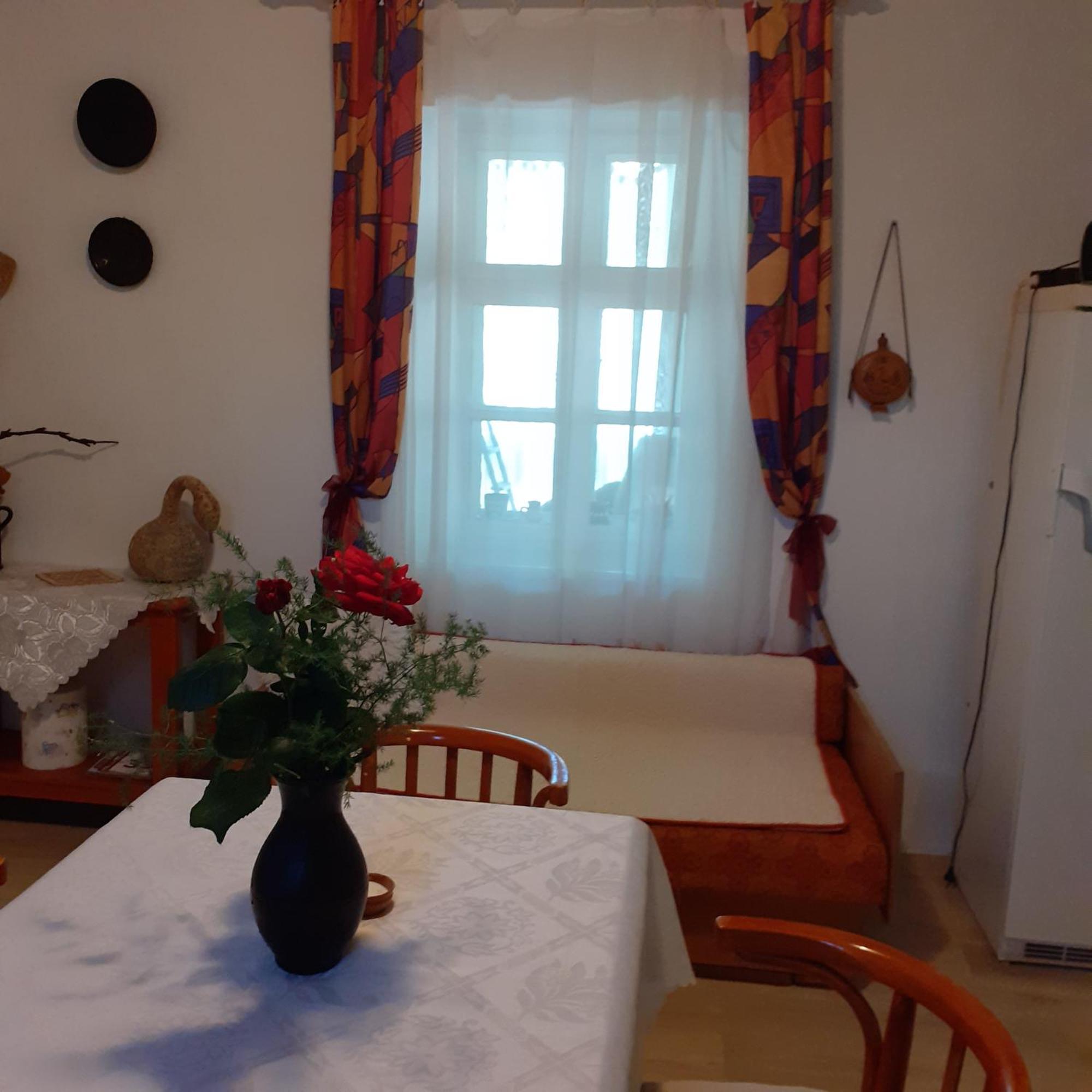 Marika Vendeghaz Daire Abádszalók Dış mekan fotoğraf